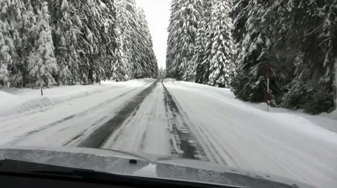 Forest Snow Ride in Winter#09, Steady Video stock 50054788