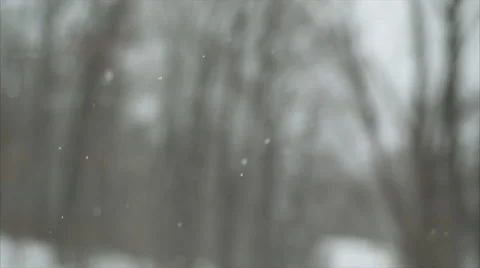 Forest Snow Storm in 4K (4 of 5) Stock Footage 47370455