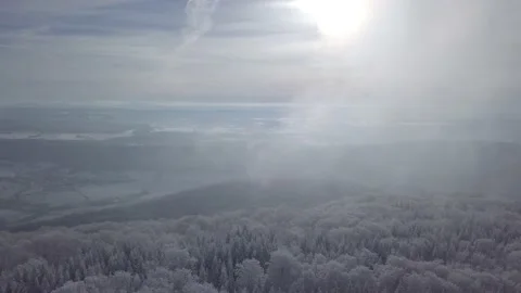 Forest snow sun and clear sky 03 Stock Footage 146357556