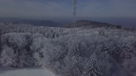 Forest snow sun and clear sky 04 Stock Footage 146357689