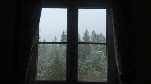 Forest snowfall seen from inside cabin window Stock-Footage 306680269