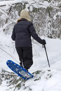 Forest snowshoeing 스톡 사진