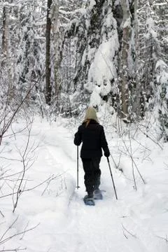 Forest snowshoeing Stock Photos