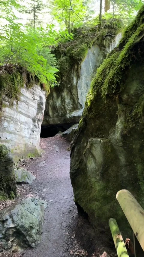 Forest somewhere in switzerland, panoramic view of the trail and gravel road in  Stock Footage 320008085