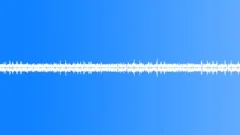 ForestSound Effect
