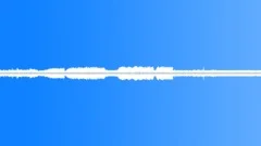ForestSound Effect