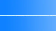 ForestSound Effect