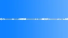 ForestSound Effect