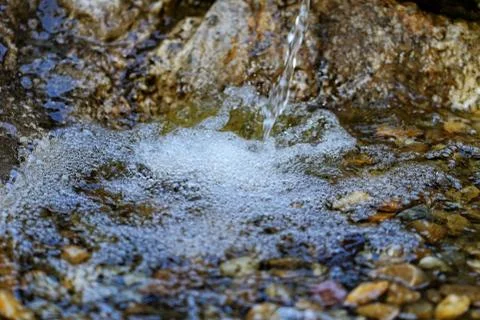 Forest source Stock Photos