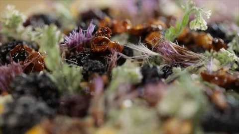 Forest Special Top of Cake Rotating Closeup Stock Footage 99164472