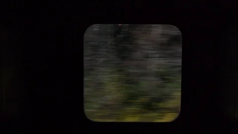 The Forest speeds by the small Train Window Stock Footage 92650071