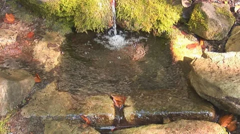 Forest spring 1 Video stock 8795589