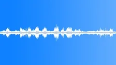 Forest in spring ambience loop 1Sound Effect