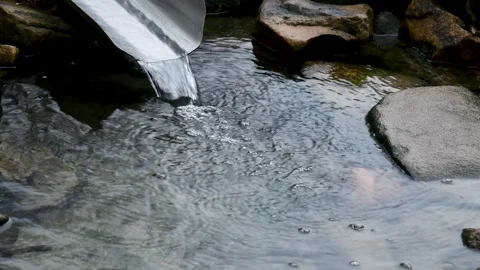 A forest spring with clear and clean water. Video stock 339913825