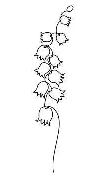 Forest Spring Flower lily of the valley in One Continuous Line Drawing. Sim.. Illustrazione stock