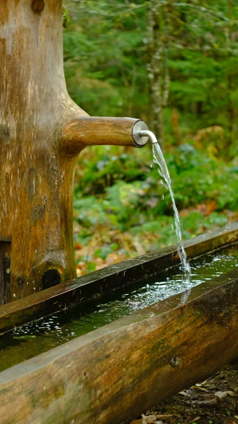 Forest spring flowing from a carved log with a wooden trough in a quiet woodland Vídeos de archivo 320671741
