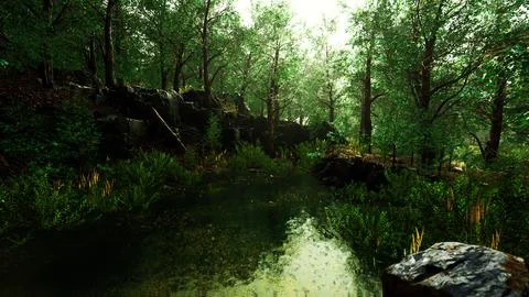 Forest spring landscape with overgrown pond Stock Illustration