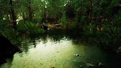 Forest spring landscape with overgrown pond Stock Illustration