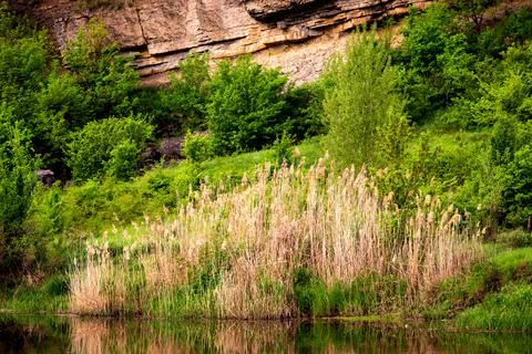 Forest spring or river flow landscape, calm nature background Stock-Fotos