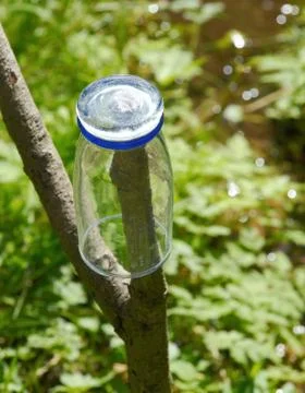 Forest spring Stock Photos