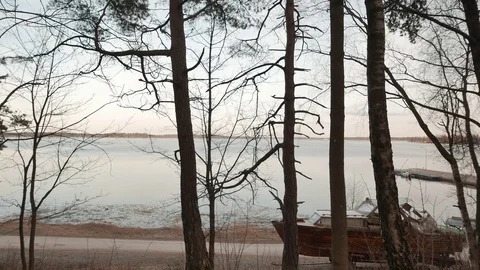 Forest in spring. A sunny day and lake Stock Footage 73836546