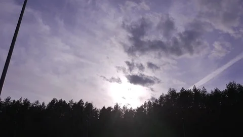 Forest in spring. A sunny day. Dramatic skies Stock Footage 73770100