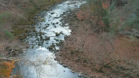 Forest spring water, clear and beautiful moisture, healing Video stock 324903554