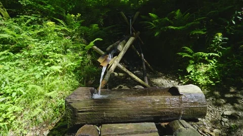 Forest Spring Water Source Video stock 328180471