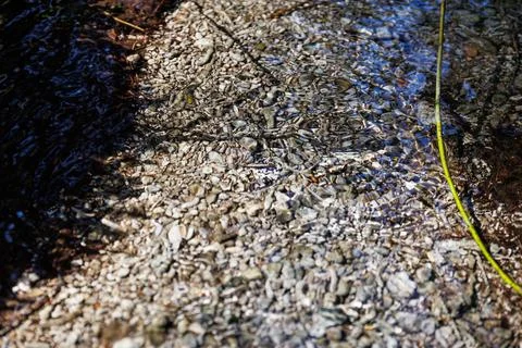 Forest spring water texture and little rocks underwater Stock Photos