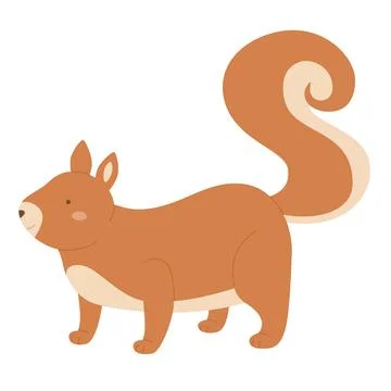 Forest squirrel isolated Illustration