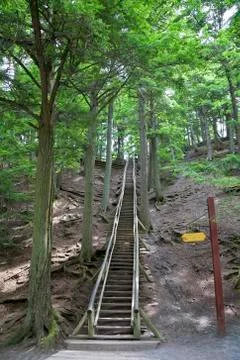 Forest staircase Stock Photos