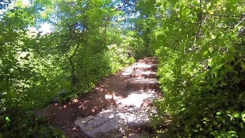 Forest Stairs Stock Footage 98679957