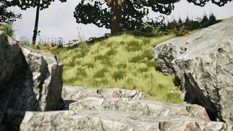 Forest Stairs Video stock 291356895