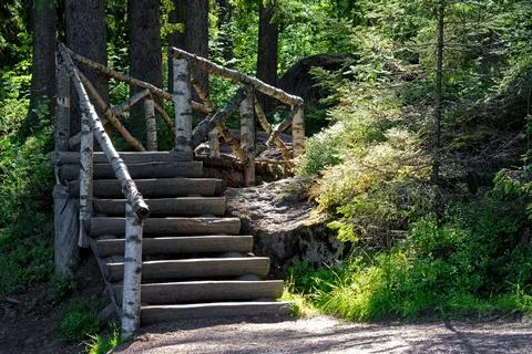 Forest stairs. Stock Photos