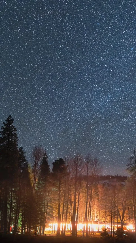 Forest Star Time Lapse Video stock 274875566