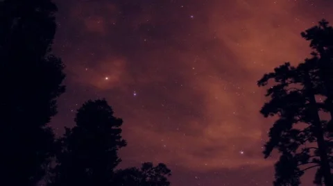 Forest Stars Dolly Time Lapse Stock Footage