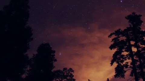 Forest Stars Time Lapse Stock Footage