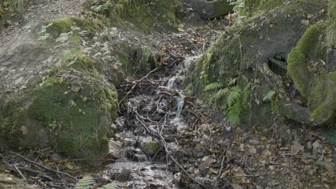 Forest steam Stock Footage 140332050