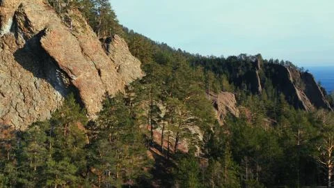 Forest on a steep mountainside Stock Photos