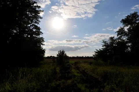 Forest steppe Stock Photos