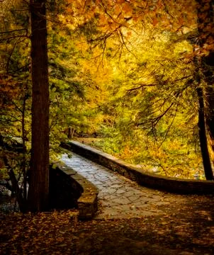 Forest stone bridge Stock Photos