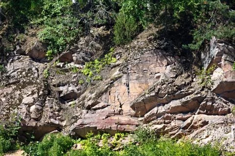 Forest on stone mountain slope Foto stock