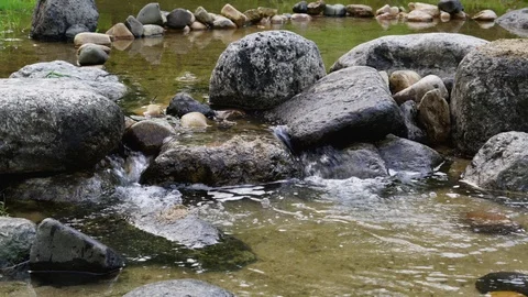 Forest Stone Water Vídeo Stock 111826407