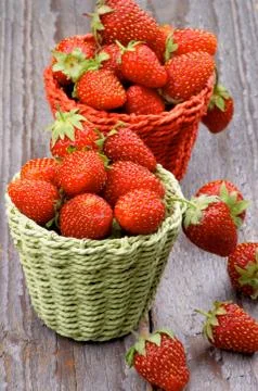 Forest strawberries Stock Photos