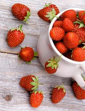 Forest strawberries Stock Photos