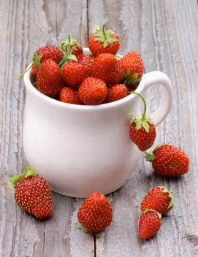 Forest strawberries Stock Photos