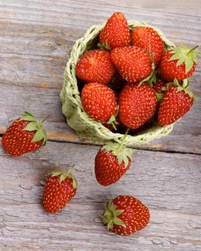 Forest strawberries Stock Photos