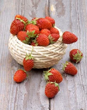 Forest Strawberries Stock Photos