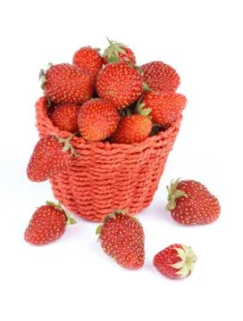 Forest Strawberries Stock Photos