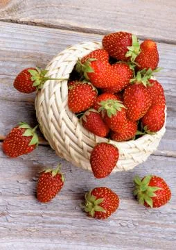 Forest Strawberries Stock Photos